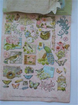 K&Company SW flower die-cuts cardstock&acetate - 2