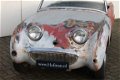 MG Midget - 1 - Thumbnail