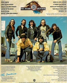 The Doobie Brothers ‎– Best Of The Doobies _Southern Rock Vinyl LP - 1