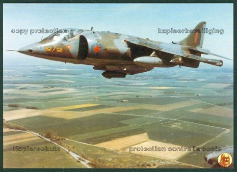 GROOT BRITTANNIE Hawker Siddeley Harrier GR1, RAF - 1
