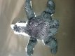 *1190 Afrikaanse pinguin knuffel 25 cm - 1 - Thumbnail