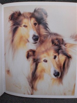 101 Kwispelende staarten Rachael Hale Groot fotoboek honden - 3