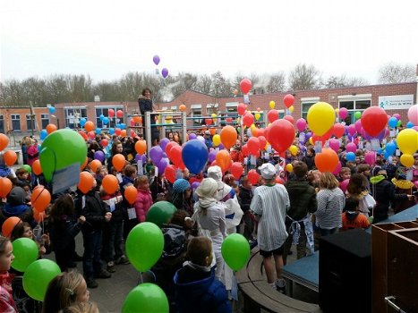 Blitz Ballonnen,geboorte,Trouwen/bruiloft,communie,verjaardag,doop,decoratie,themaparty artikelen - 4