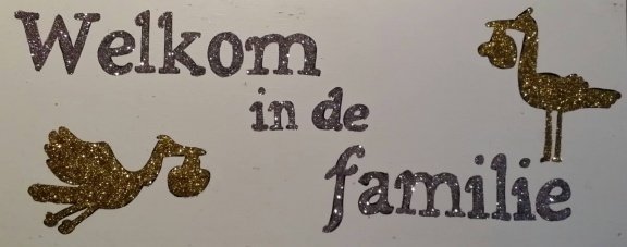 Geboortebord Ooievaar Frankie & Billie Vliegenier. GRATIS oorbellen! - Afbeelding 8