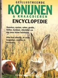 Esther Verhoef - Geillustreerde Konijnen & Knaagdieren Encyclopedie Gele Cover (Hardcover/Gebonden) - 1
