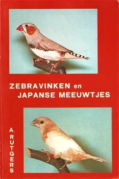 Zebravinken en Japanse meeuwtjes - 0