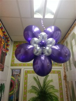 Blitz Ballonnen,geboorte,trouwen/bruiloft,communie,verjaardag,kerst,sinterklaas,doop,decoratie. - 5