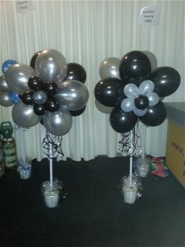 Blitz Ballonnen boompjes, Lisse e.o - 6