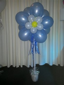 Blitz Ballonnen boompjes, Lisse e.o - 4