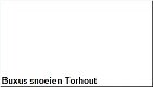 Buxus snoeien Torhout - 1 - Thumbnail