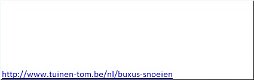 Buxus snoeien Torhout - 3 - Thumbnail