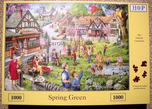 House of Puzzles - Spring Green - 1000 stukjes Nieuw - 2