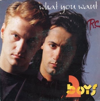 2 Boys : What you want (1993) - 1