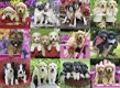 Ravensburger - Puppy Pals - 500 Stukjes Nieuw - 1 - Thumbnail