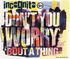 Incognito - Don't You Worry 'Bout A Thing 4 Track CDSingle