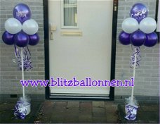 Blitz Ballonnen boompjes, Lisse e.o.