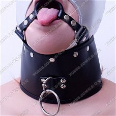 Bondage Gag 01