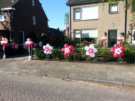 Blitz Ballonnen.Ballonnen decoratie, helium ballonnen Z-Holland. - 2