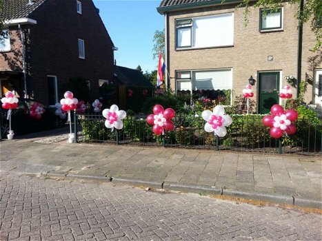 Blitz Ballonnen.Ballonnen decoratie, helium ballonnen Z-Holland. Bruiloft - 3