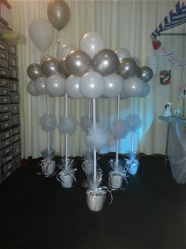 Blitz Ballonnen boompjes, Lisse e.o. - 3