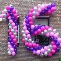 Blitz Ballonnen -bogen-pilaren-ballonnenwanden-balloncijfers-ballonletters. - 1