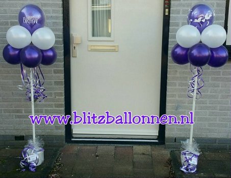 Blitz Ballonnen boompjes, Lisse e.o. - 1