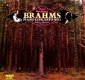 LP - BRAHMS - Roger Woodward - piano concerto - 0 - Thumbnail