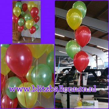 Blitz Ballonnen Lisse e.o - Verjaardagsballonnen/feest/partijtje - 3
