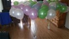 Blitz Ballonnen Lisse e.o - Pasen - 2 - Thumbnail