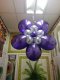 Blitz Ballonnen.Ballonnen decoratie, helium ballonnen Z-Holland. - 5 - Thumbnail