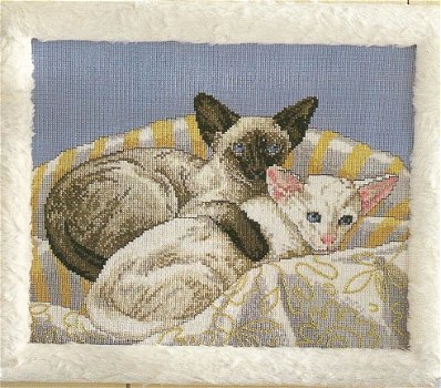 Borduurpatroon 203 siamese kattenschilderij - 1