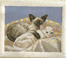 Borduurpatroon 203 siamese kattenschilderij