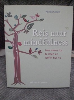 Reis naar mindfulness Leer stress loslaten Patrizia Collard - 1