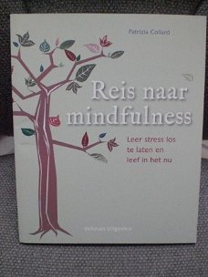 Reis naar mindfulness Leer stress loslaten Patrizia Collard