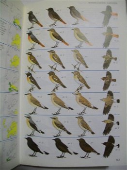 Vogels van Europa Christopher Perrins - 3