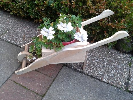 Kleine kruiwagen voor plantjes. - 1