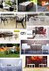 Diverse betaalbare kunststof stoelen, ieder budget - 3 - Thumbnail