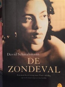 David Schmahmann - De Zondeval