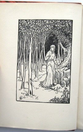 La Princesse Maleine 1918 Maeterlinck Fraaie band #807/1114 - Afbeelding 4