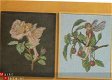 3 Vintage pakketten Bloemenkinderen/Fairies van C.M. Barker - 1 - Thumbnail