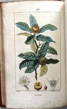Flore Médicale 1814-20 Chaumeton - Botanie (424 kleurenill.) - 1