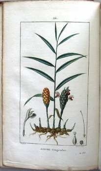 Flore Médicale 1814-20 Chaumeton - Botanie (424 kleurenill.) - 4