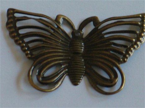Bronze butterfly - 1