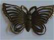 Bronze butterfly - 1 - Thumbnail