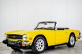 Triumph TR6 - 1 - Thumbnail