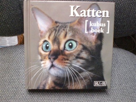 Katten (kubusboek) Oorspronkelijke titel: Les Chats 1001 photos - 1