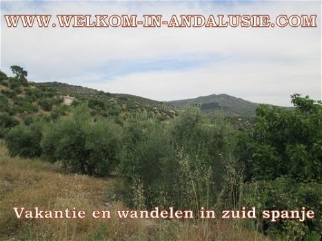 spanje zomervakantie, nog huizen vrij met zwembaden - 8