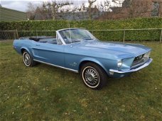 Ford Mustang - USA DRINGEND GEZOCHT