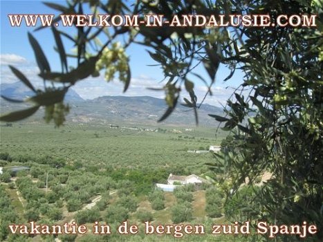 vakantie ZOMER SPANJE ANDALUSIE, huisjes te huur in de bergen - 4
