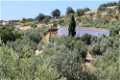 vakantiehuisjes in andalusie, zuid spanje, met zwembad - 4 - Thumbnail